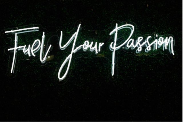 Ilustrasi passion | Photo by Randalyn Hill on Unsplash