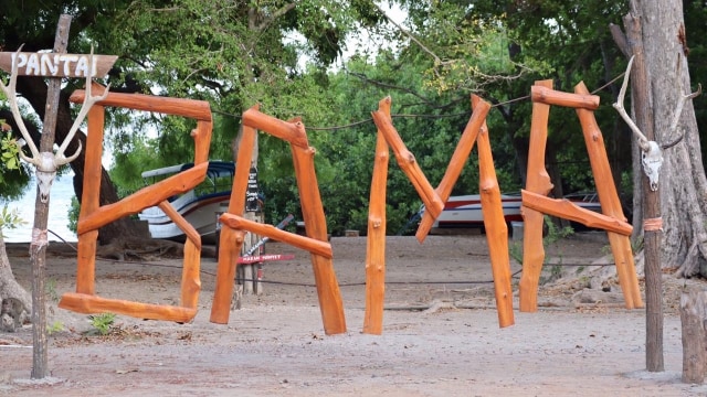 Pantai Bama di Taman Nasional Baluran, Banyuwangi, Jawa Timur. Foto: Alfadilah/kumparan