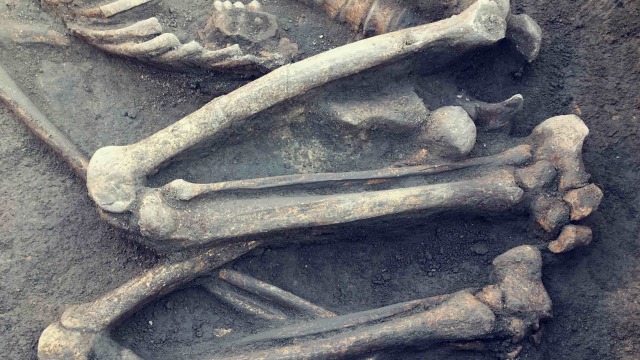 Ilustrasi kerangka manusia. Foto: Shutter Stock