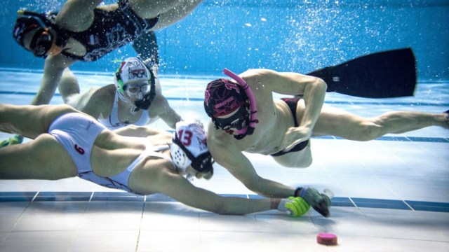 Ilustrasi 'Underwater Hockey' Foto: Twitter