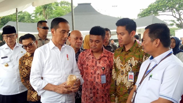 Presiden Jokowi ajak dua Staf Khusus Milenial, Adamas Belva Syah Devara dan Gracia Billy Mambrasar saat meninjau Program Mekaar binaan PNM di Cilegon. Foto: Fahrian Saleh/kumparan
