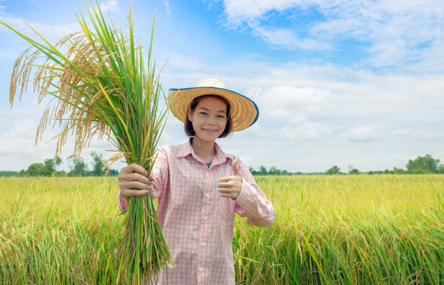 Ilustrasi petani muda. Foto: Shutterstock