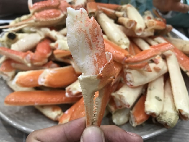 Kepiting Salju Korea. Foto: Adhie Ichsan/kumparan