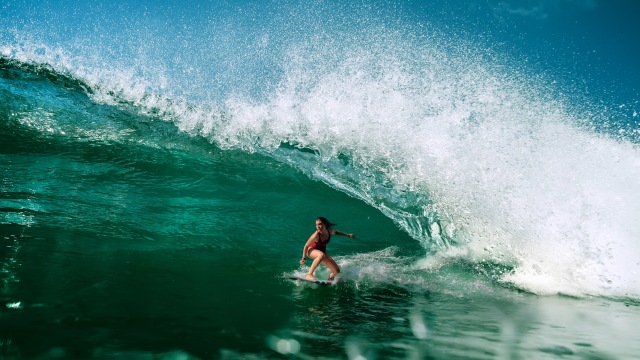 Ilustrasi Selancar. Foto: Shutter Stock 