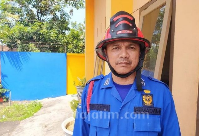 40 Kobra Dibunuh Warga di Jember, 5 Ekor Diamankan PMK
