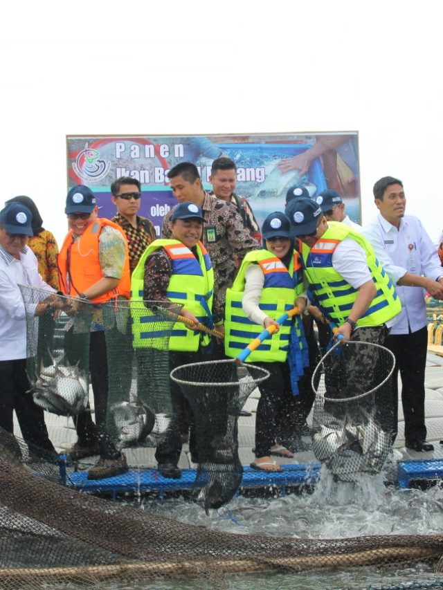 Kementerian Kelautan dan Perikanan menebar benih ikan di perairan Riau. Foto: Dok. KKP