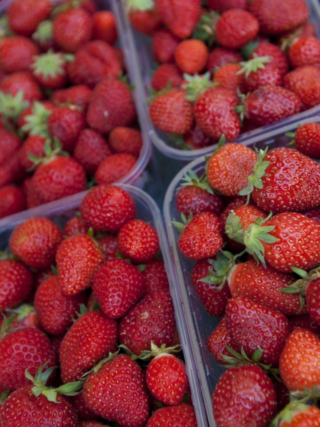 Ilustrasi buah stroberi. Foto: Shutter Stock
