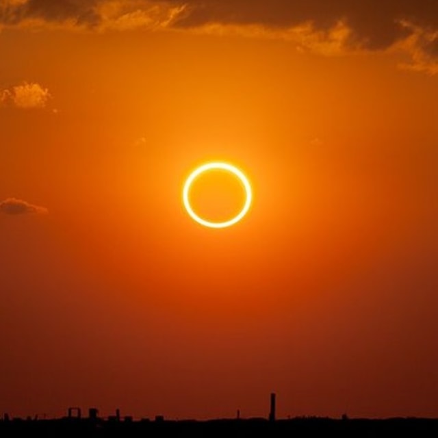 Ilustrasi Gerhana Matahari Cincin. Foto: Kevin Baird via Wikimedia Commons (CC BY-SA 3.0)