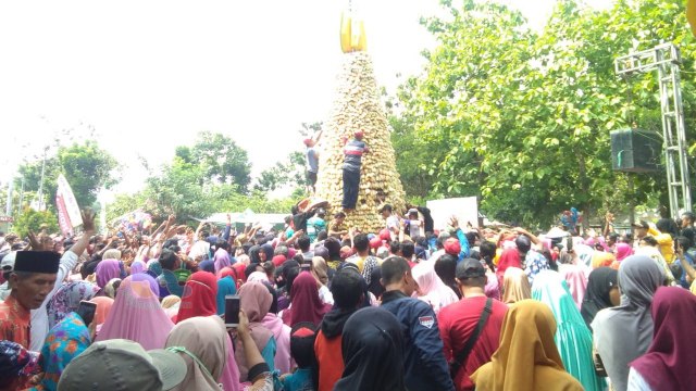 Ribuan warga hadiri acara Festival Belimbing di lokasi Agrowisata Desa Ngringinrejo. Minggu (15/12/2019)