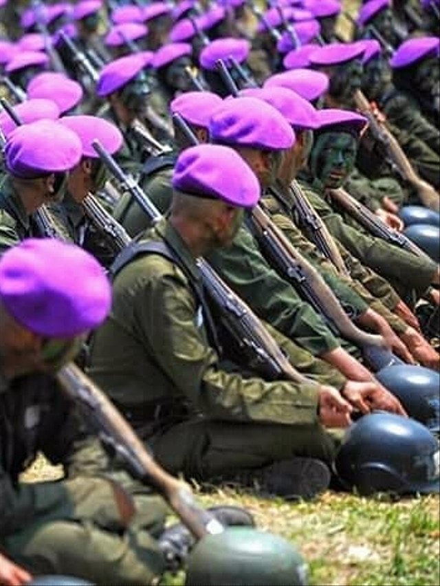 Ilustrasi Resimen Mahasiswa (Menwa). Foto: Instagram/@menwaindonesia