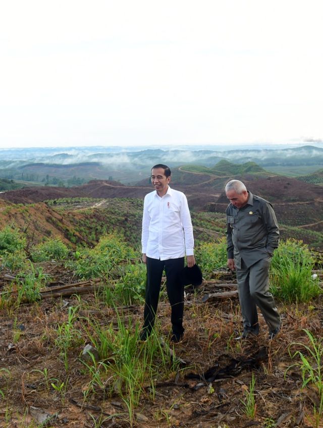 Presiden Joko Widodo bersama Gubernur Kalimantan Timur Isran Noor (kanan) saat meninjau lokasi rencana ibu kota baru di Sepaku, Penajam Paser Utara, Kaltim. Foto: Dok. Biro Pers Sekretariat Presiden