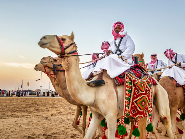 Ilustrasi unta yang telah didandani akan mengikuti kontes kecantikan Foto: Shutter Stock