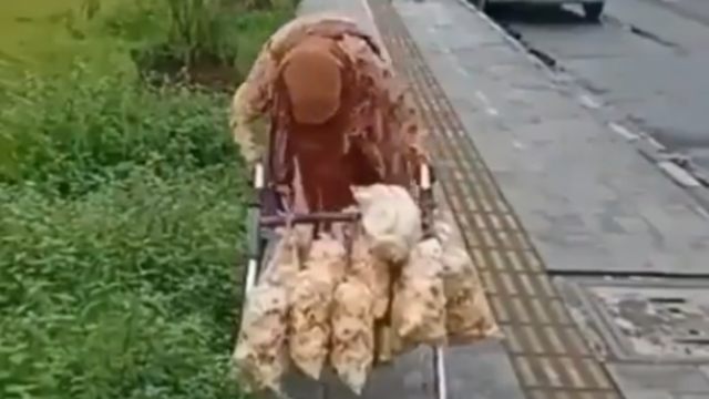 Nenek Ngatiyem tetap bekerja keras berjualan kerupuk dengan cara keliling meski usianya kini 110 tahun. (Foto: Twitter @budakbaonk_ri)