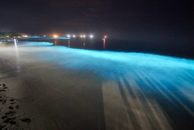 Fenomena bioluminescene di sepanjang pantai Pesisir Barat Lampung, Minggu (22/12). Foto: Instagram/riez_aries