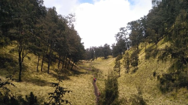 Salah satu trek menuju Gunung Lawu dengan pemandangan yang sangat indah. Foto: Widi Erha