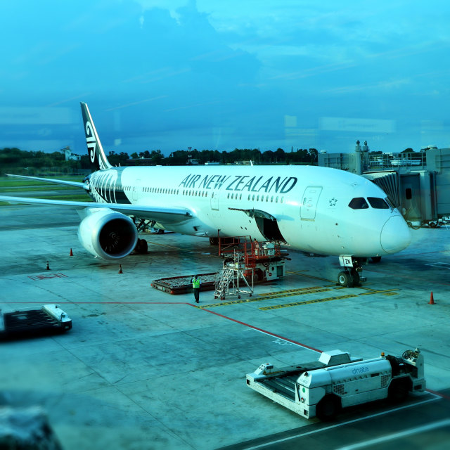 Armada pesawat Air New Zealand tengah parkir di apron sambil menunggu penumpang  Foto: Helinsa Rasputri/kumparan