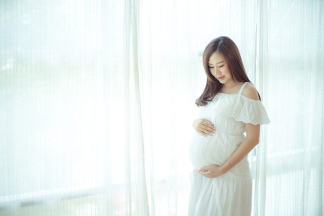 com-Ilustrasi ibu hamil Foto: Shutterstock