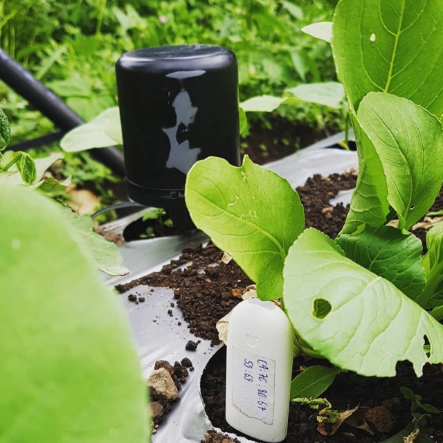 Sensor Habibi Garden yang dipasang di lahan pertanian, Rabu (25/12) | Foto : Instagram/Habibi Garden