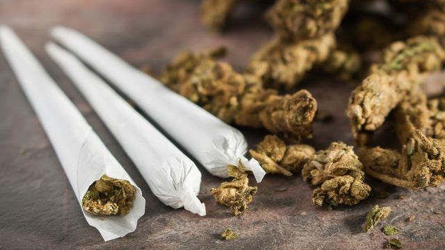 Ilustrasi ganja yang dilinting Foto: Shutter Stock