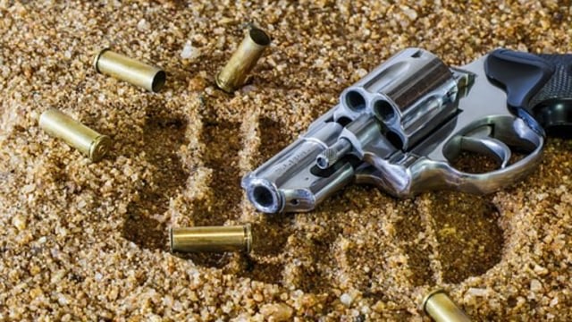 Ilustrasi pistol. Foto: pixabay