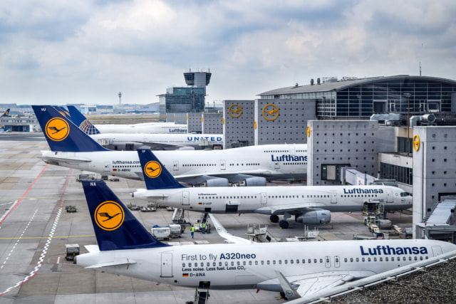 Ilustrasi pesawat Lufthansa Foto: Shutterstock 