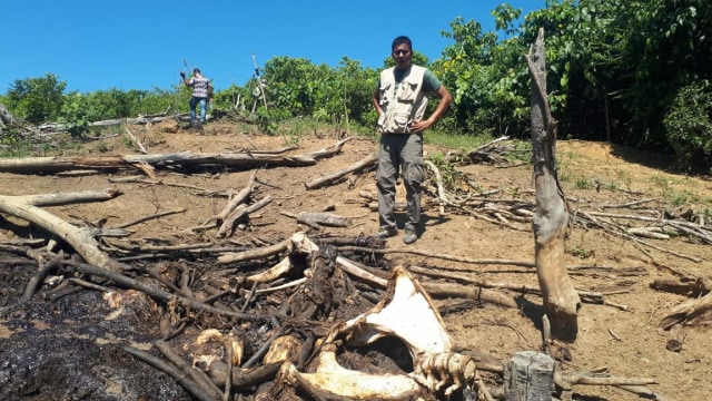 Kerangka bangkai gajah liar yang tinggal tulang ditemukan di Kabupaten Aceh Jaya. Foto: Dok. BKSDA Aceh
