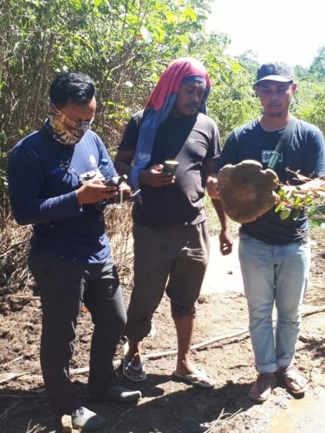 BKSDA Aceh temukan bangkai gajah di Aceh Jaya.  Foto: Dok. Istimewa 