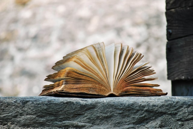 Ilustrasi buku basah kebanjiran (Foto: Pixabay)