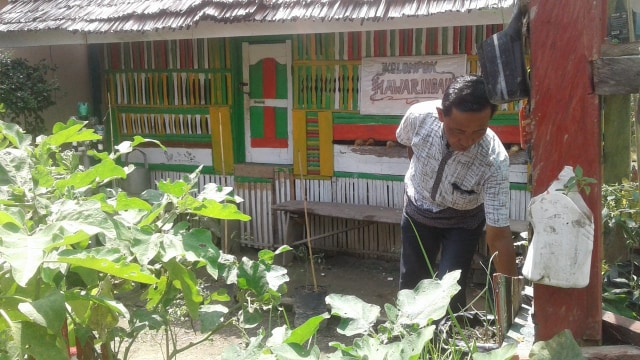 Sekdes Sidole Timur, Kecamatan Ampibabo Timur, Kabupaten Parigi Moutong, Sulawesi Tengah, Asrudin Alahiya memberi makan ternak ayamnya. Ayam-ayam itu bantuan dari Dinas Peternakan Provinsi sebagai upaya mencegah stunting, Jumat (3/1/2020). Foto: Intan/PaluPoso
