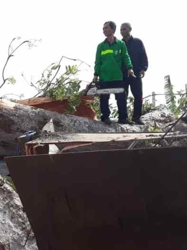 Petugas dari DLHK Kota Denpasar memotong pohon yang menimpa rumah warga di Denpasar, Bali, Rabu (8/1). Foto: Denita BR Matondang/kumparan