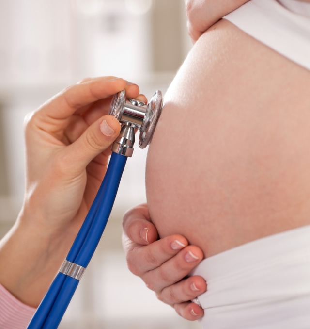 Hamil PTR Foto: Shutterstock