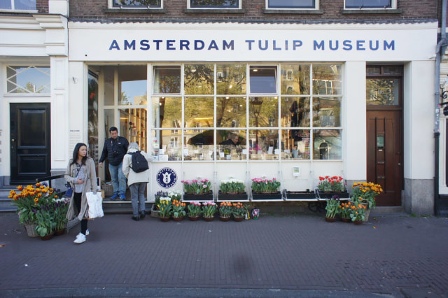 Amsterdam Tulip Museum di Belanda Foto: Daniel Chrisendo