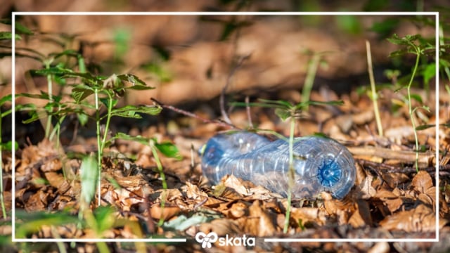Fakta Sampah Plastik: Dari Laut hingga Perut
