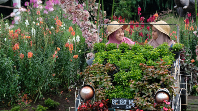 Taman Bunga Begonia di Bandung Foto: Shutter Stock