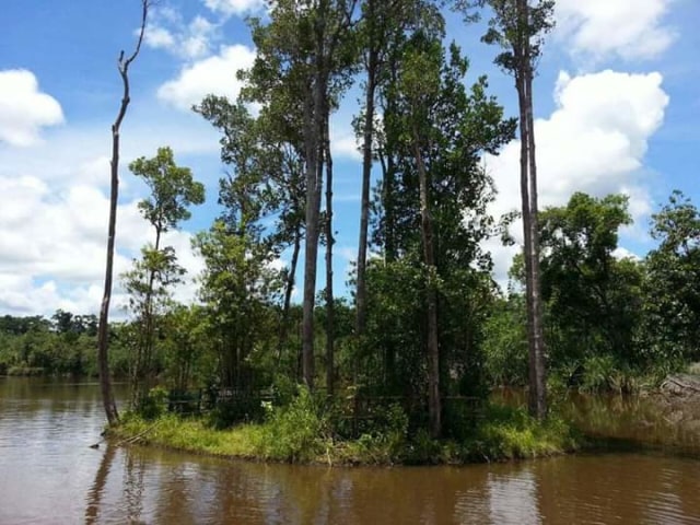 Pulau Begansar, pulau yang bisa bergerak sendiri di Danau Bagut Dusun Kuala Buin, Desa Entibab, Kecamatan Bunut Hilir, Kabupaten Kapuas Hulu. Foto: Dok. Tan Jasmin Slater