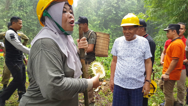 Bupati Kobar Nurhidayah menunjukan buah kerontungan saat nyandau durian di bukit Balang Desa Riam. (Foto: Joko Hardyono)