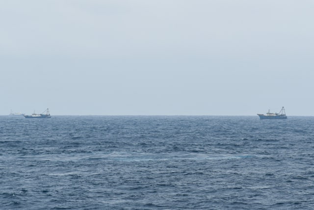 Sejumlah kapal nelayan pukat China yang melakukan penangkapan ikan di ZEE Indonesia Utara Pulau Natuna, Sabtu (11/1). Foto: ANTARA FOTO/M Risyal Hidayat