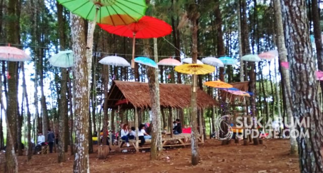 Taman pinus Tapinkamu di Kampung Cimanggu RT 28/05, Desa Bojonggaling, Kecamatan Bojonggenteng, Kabupaten Sukabumi. | Sumber Foto:Budiono