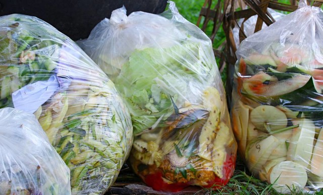 Ilustrasi Makanan Sisa di tempat pebuangan makanan. Foto: Shutter Stock
