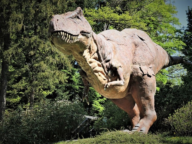 Ilustrasi T. rex. Sumber gambar: Wikimedia Commons.