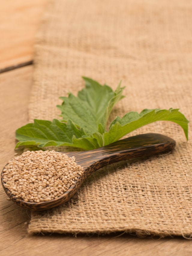 Ilustrasi biji wijen. Foto: Shutter Stock