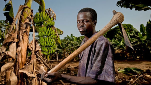 Ilustrasi petani di Ghana Afrika. Foto: newz.ug