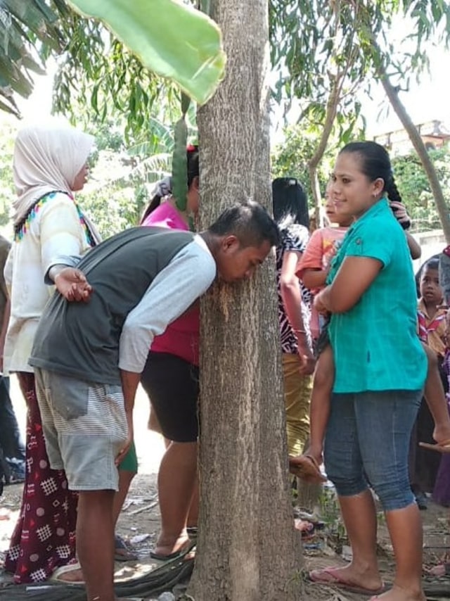 Warga mendengarkan pohon yang diduga mengeluarkan suara menangis di Jember. Foto: kumparan 
