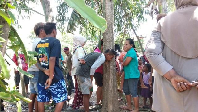 Warga mendengarkan pohon yang diduga mengeluarkan suara menangis di Jember. Foto: kumparan 