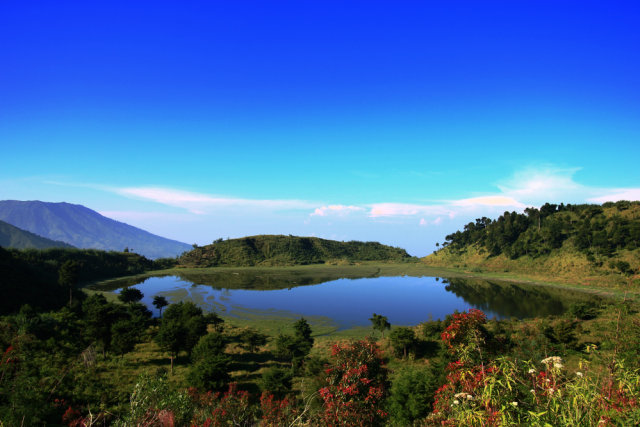 Pesona Telaga Dringo di Dieng yang mirip Ranu Kumbolo Foto: Shutter Stock