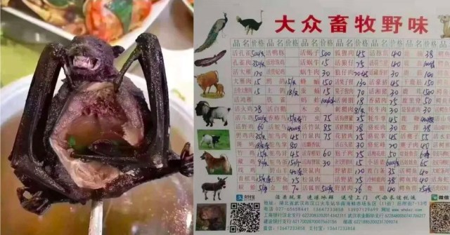 Sumber foto : Muyi Xiao. Twitter