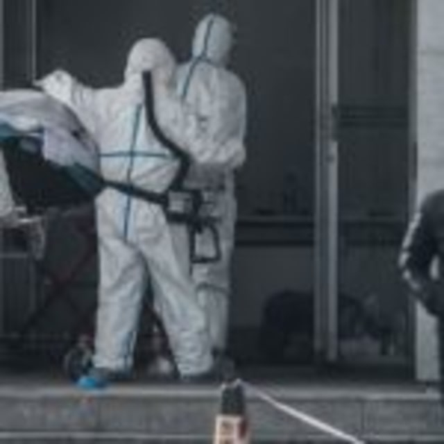 Virus Corona Berasal dari Ular dan Kelelawar, LIPI Ungkap Penyebabnya