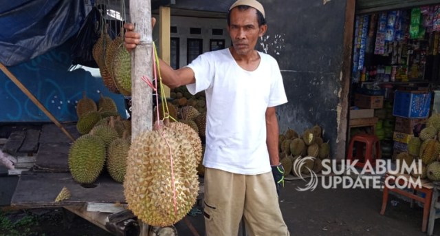 Buah durian montong jumbo yang beratnya mencapai delapan kilogram dijual di lapak milik (40 tahun) di pinggir jalan Cidahu, tepatnya di Kampung Pasirdoton, Deda Pondokkaso Tonggoh, Kecamatan Cidahu, Kabupaten Sukabumi. | Sumber Foto:Syahrul Himawan
