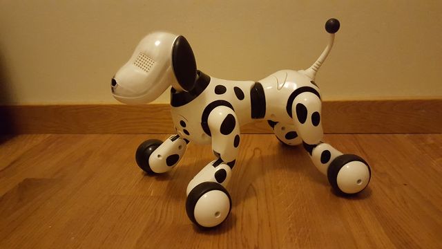 Foto: Robot anjing