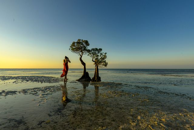 Ilustrasi traveler menyambangi Pantai Walakiri di Sumba Foto: Shutter Stock